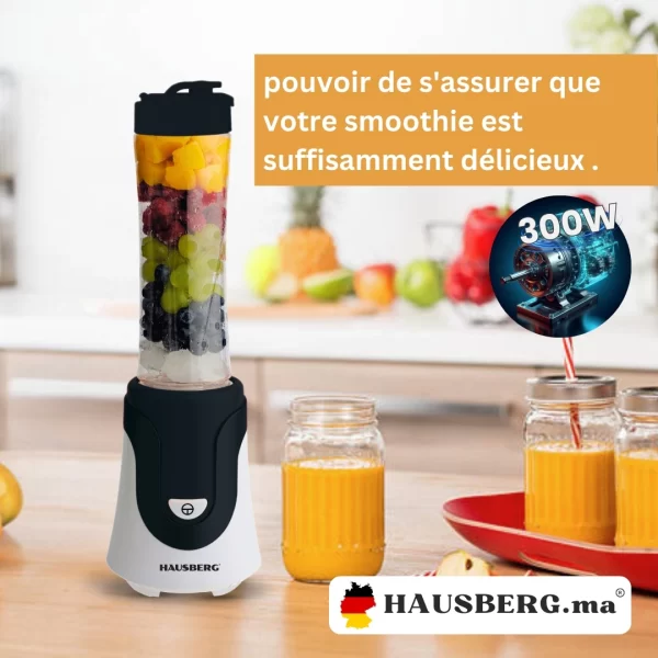 hb-7676 hausberg mixeur smoothie blender