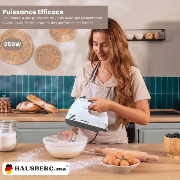 Hausberg HB-4112GR Batteur Électrique 7 Vitesses (AC220-240V, 50Hz, 250W)