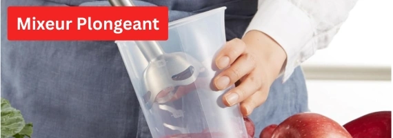 Mixeur Plongeant Moulinex