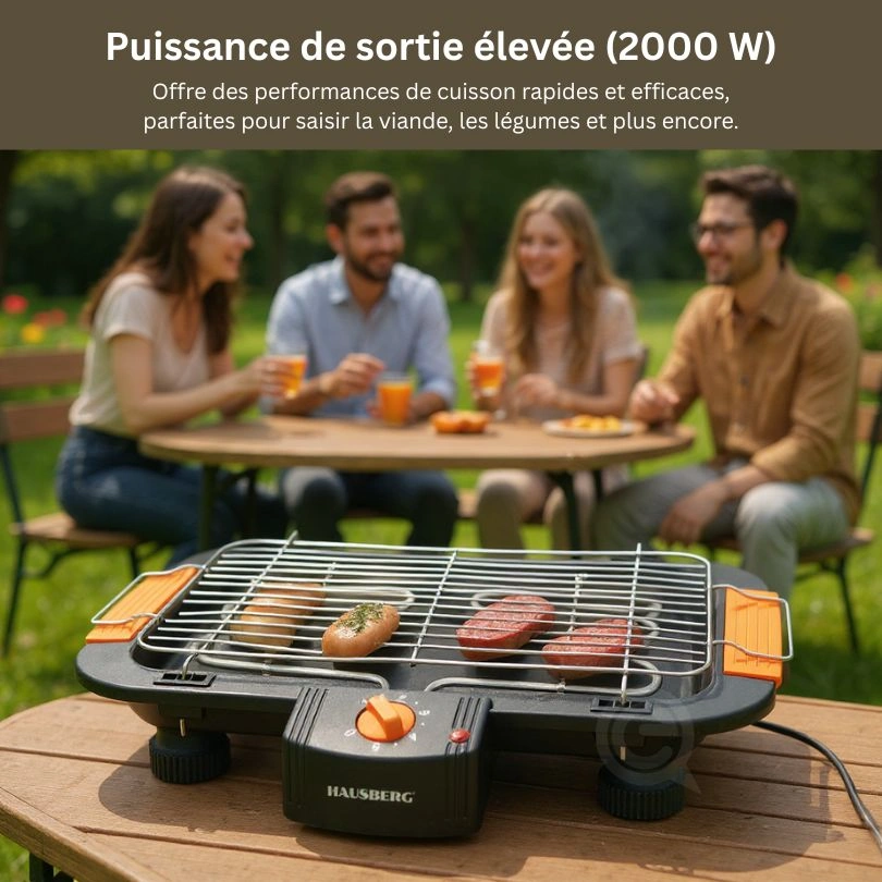 hb-530 haubserg barbecue