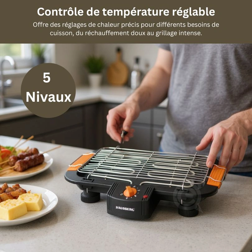 hb-530 haubserg barbecue