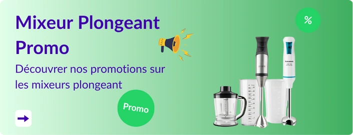 réduction sur mixeur plongeant