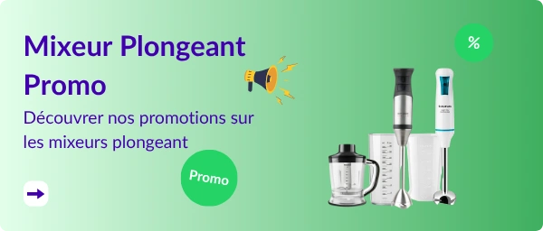 réduction sur mixeur plongeant